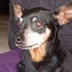 Gregorio ********