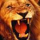 Kosam ********
