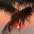 Dawn ********