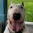 Joachim ***********