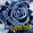 Rose ******