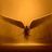 Radius ******************
