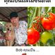 Bob *********