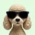 DongDon*******