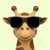HumbleGi*********
