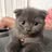 Marney ********