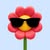 ChattyFl********