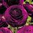 Sone ********