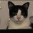 Drac ******