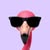 Regg*****