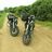 Traceys *********