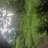 Eriq *******