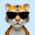 Tiger_55********