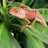 Mike **************