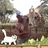 Giraffe *********