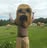 Colin **********