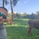 Eyal *******