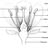 Ataraxia *******************