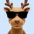 BronzeRei*********