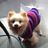 Bella **************