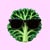 Emerald********