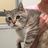 Davy *******