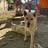 Kitae *****