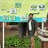 Javed ********