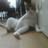Larry ********