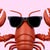 SunnyLob********