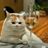 Yanlu ****
