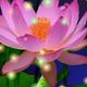 Chris *********