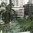Pattaya ****
