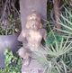 Bruce ******