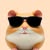 RubyHam********