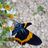 Doroido *******