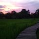 Aggu*****