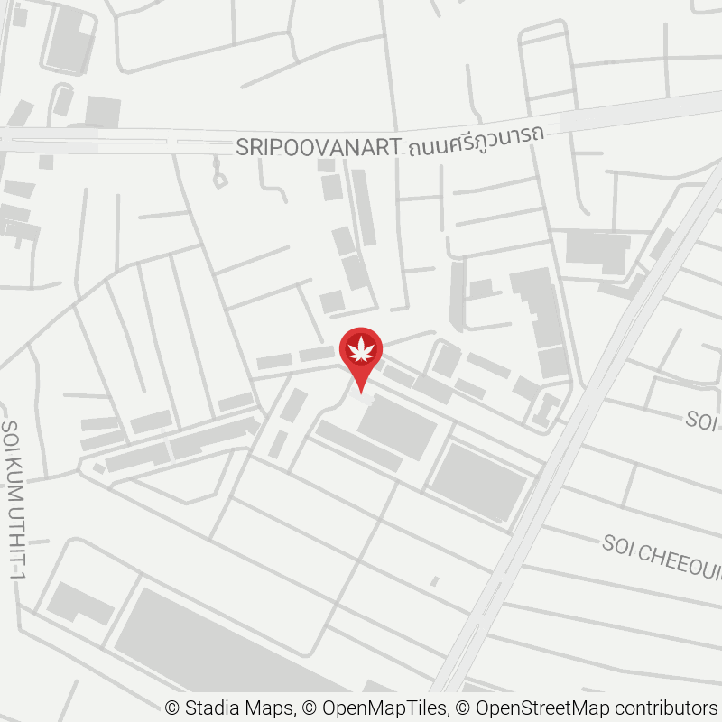 Map location for High and Stoned Cannabis Dispensary Hatyai (Weed Shop)